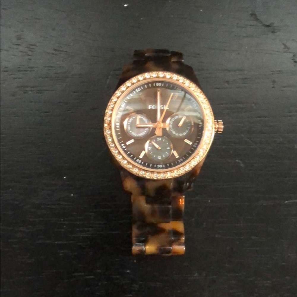 Tortoise Fossil Watch - image 1